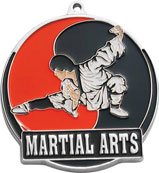 Martial Arts Medal