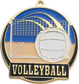 Volleyball Medal