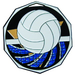 Volleyball Medal