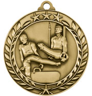 Male Gymnastics Medal