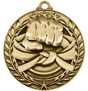 Martial Arts Medal