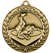 Wrestling Medal