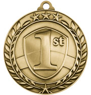 1st Place Medal